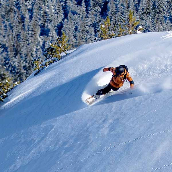 Tablas Snowboard